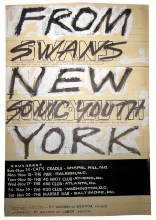 IMAGES — SWANS